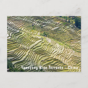 Famous yuanyang Rice Terraces - Yunnan, China Briefkaart