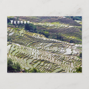 Famous yuanyang Rice Terraces - Yunnan, China Briefkaart