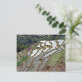 Famous yuanyang Rice Terraces - Yunnan, China Briefkaart (Staand voorkant)