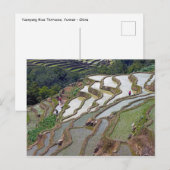 Famous yuanyang Rice Terraces - Yunnan, China Briefkaart (Voorkant / Achterkant)