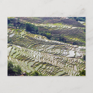 Famous yuanyang Rice Terraces - Yunnan, China Briefkaart