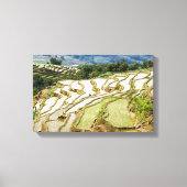 Famous yuanyang Rice Terraces - Yunnan, China Canvas Afdruk (Voorkant)