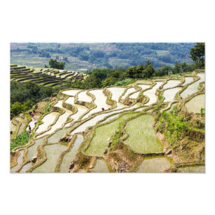 Famous yuanyang Rice Terraces - Yunnan, China Foto Afdruk
