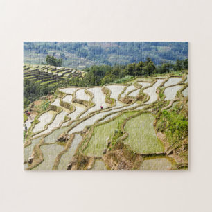 Famous yuanyang Rice Terraces - Yunnan, China Legpuzzel