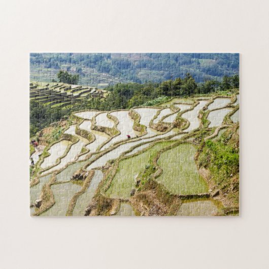 Famous yuanyang Rice Terraces - Yunnan, China Legpuzzel (Horizontaal)