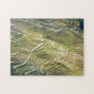 Famous yuanyang Rice Terraces - Yunnan, China Legpuzzel