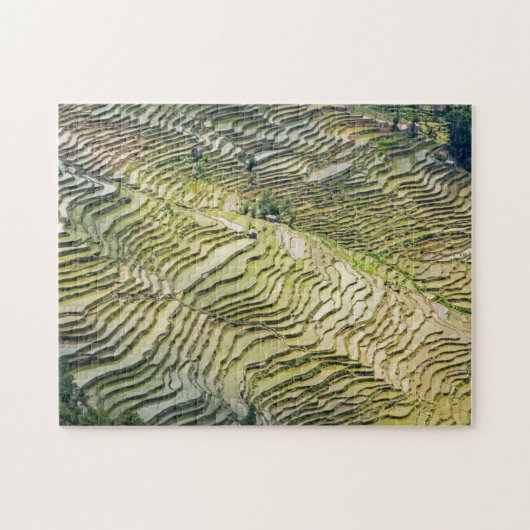 Famous yuanyang Rice Terraces - Yunnan, China Legpuzzel (Horizontaal)