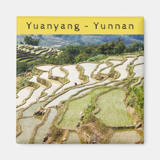 Famous yuanyang Rice Terraces - Yunnan, China Magneet (Voorkant)