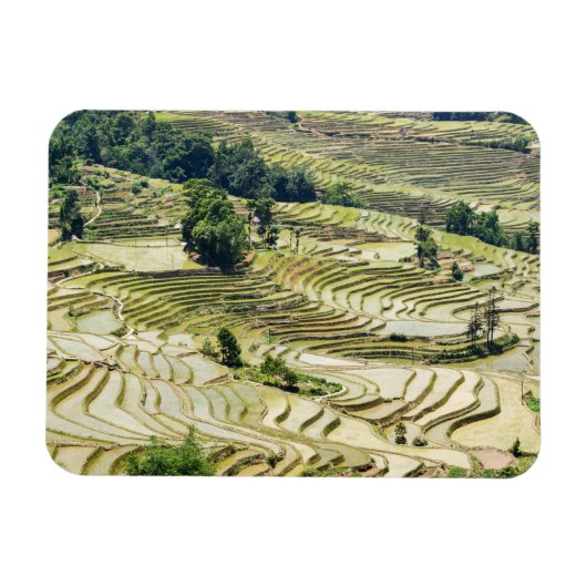 Famous yuanyang Rice Terraces - Yunnan, China Magneet (Horizontaal)