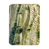 Famous yuanyang Rice Terraces - Yunnan, China Magneet (Verticaal)