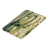 Famous yuanyang Rice Terraces - Yunnan, China Magneet (Linkerzijde)