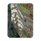 Famous yuanyang Rice Terraces - Yunnan, China Magneet (Verticaal)