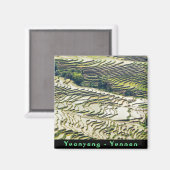Famous yuanyang Rice Terraces - Yunnan, China Magneet (Voorkant / Achterkant)