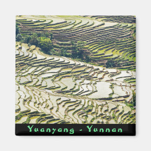 Famous yuanyang Rice Terraces - Yunnan, China Magneet