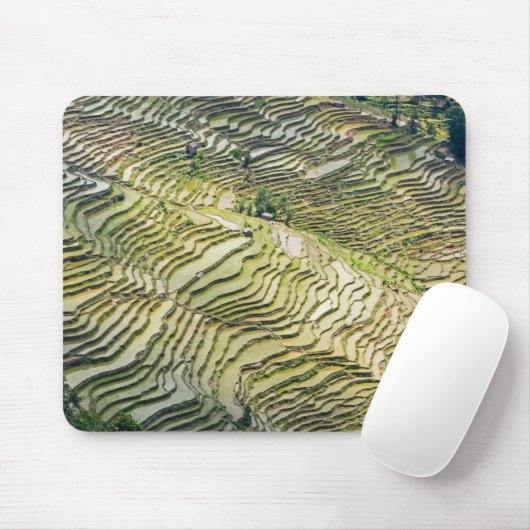 Famous yuanyang Rice Terraces - Yunnan, China Muismat (Met muis)
