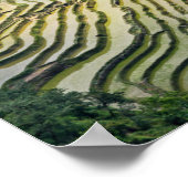 Famous yuanyang Rice Terraces - Yunnan, China Poster (Hoek)