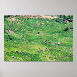 Famous yuanyang Rice Terraces - Yunnan, China Poster