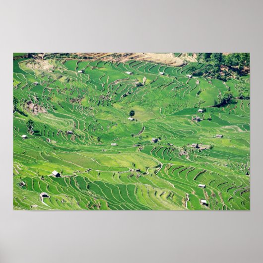 Famous yuanyang Rice Terraces - Yunnan, China Poster (Voorkant)