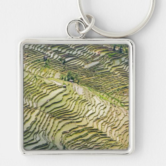 Famous yuanyang Rice Terraces - Yunnan, China Sleutelhanger (Voorkant)