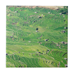 Famous yuanyang Rice Terraces - Yunnan, China Tegeltje