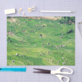 Famous yuanyang Rice Terraces - Yunnan, China Tissuepapier (Craft)