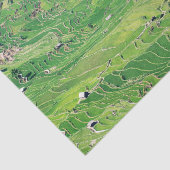 Famous yuanyang Rice Terraces - Yunnan, China Tissuepapier (Detail)
