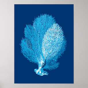 Fan Coral Zee Life Print, Indigo Blue en White Poster