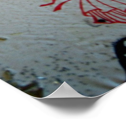 Fan Dancer 2 Poster (Hoek)