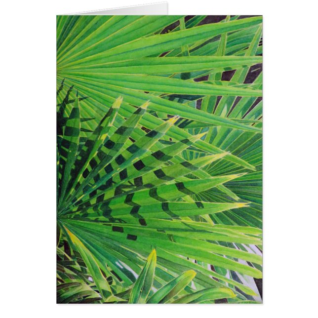 Fan Palm (Voorkant)