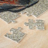FAN SHELLS 20x30 INCH Legpuzzel (Zijkant)