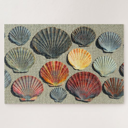 FAN SHELLS 20x30 INCH Legpuzzel (Horizontaal)