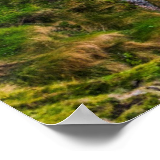 Fanad Head Lighthouse Co. | Donegal Ierland Poster (Hoek)