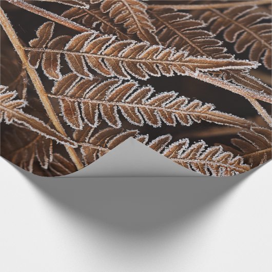 Fanciful Frostbitten Brown Ferns Cadeaupapier (Hoek)