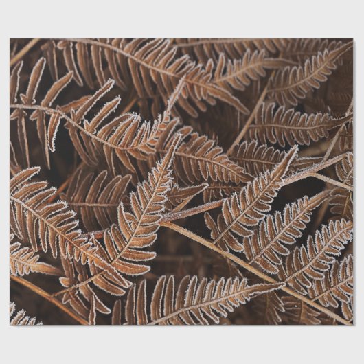 Fanciful Frostbitten Brown Ferns Cadeaupapier (Vlak)