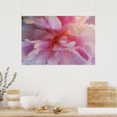 Fanciful Peachy-Pink Peony: groot formaat afdrukke Poster (Keuken)