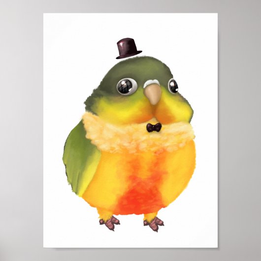 Fancile conure afdrukken poster (Voorkant)