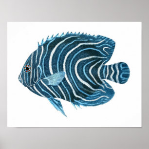 Fancile Tropische Coral Reef Blue Fish Art afdrukk Poster