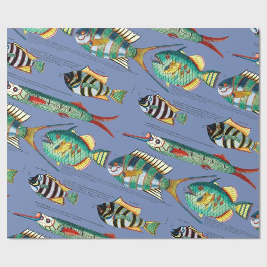 Fancile vis cadeaupapier (Vlak)