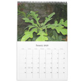 Fancy bladzijden, kalender 2009 (Jan 2026)