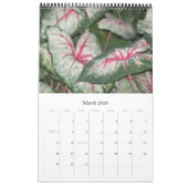 Fancy bladzijden, kalender 2009 (Mar 2026)