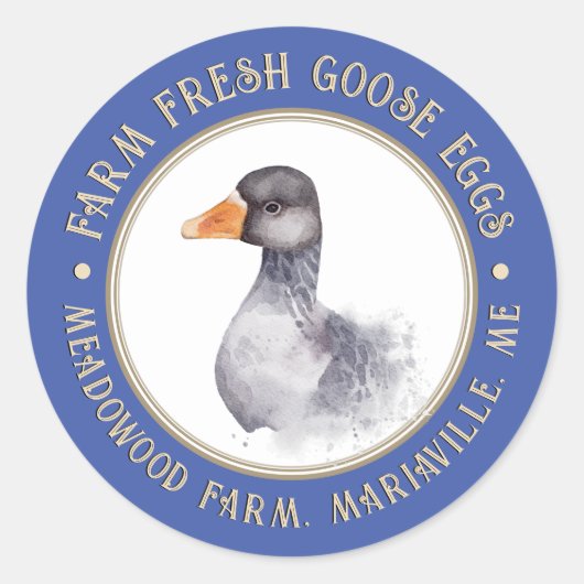 Fancy blauwe kartonnen doosje Euck of Goose Egg Ronde Sticker (Voorkant)