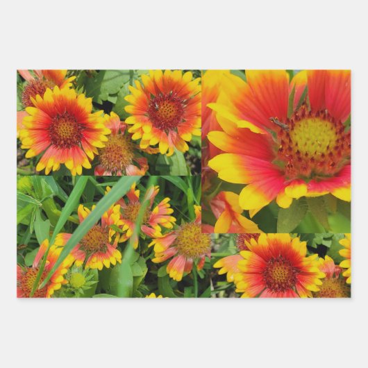 Fancy Bloemen Verpakking Papier Flat Sheet Set van Inpakpapier Vel (Voorkant 3)