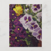 Fancy Broek Pansies Kleurrijke Bloemen Briefkaart (Voorkant)