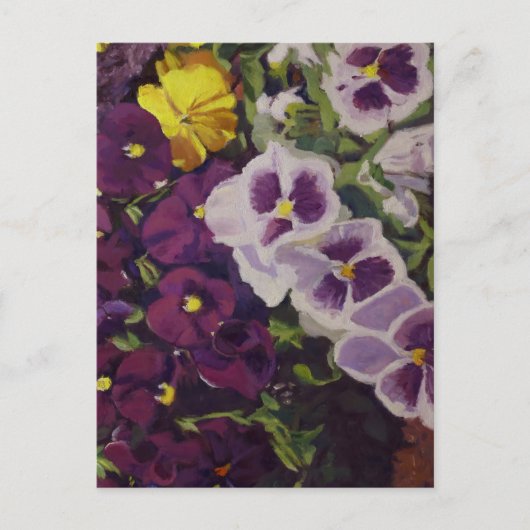 Fancy Broek Pansies Kleurrijke Bloemen Briefkaart (Voorkant)
