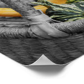 Fancy bronnen in warme mandje gedeeltelijke kleure poster (Hoek)