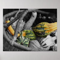 Fancy bronnen in warme mandje gedeeltelijke kleure