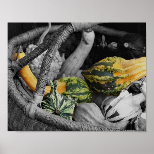 Fancy bronnen in warme mandje gedeeltelijke kleure poster (Voorkant)