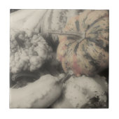 Fancy bronnen in zwart-wit tegeltje (Voorkant)