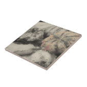 Fancy bronnen in zwart-wit tegeltje (Zijkant)