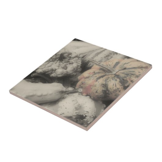 Fancy bronnen in zwart-wit tegeltje (Zijkant)